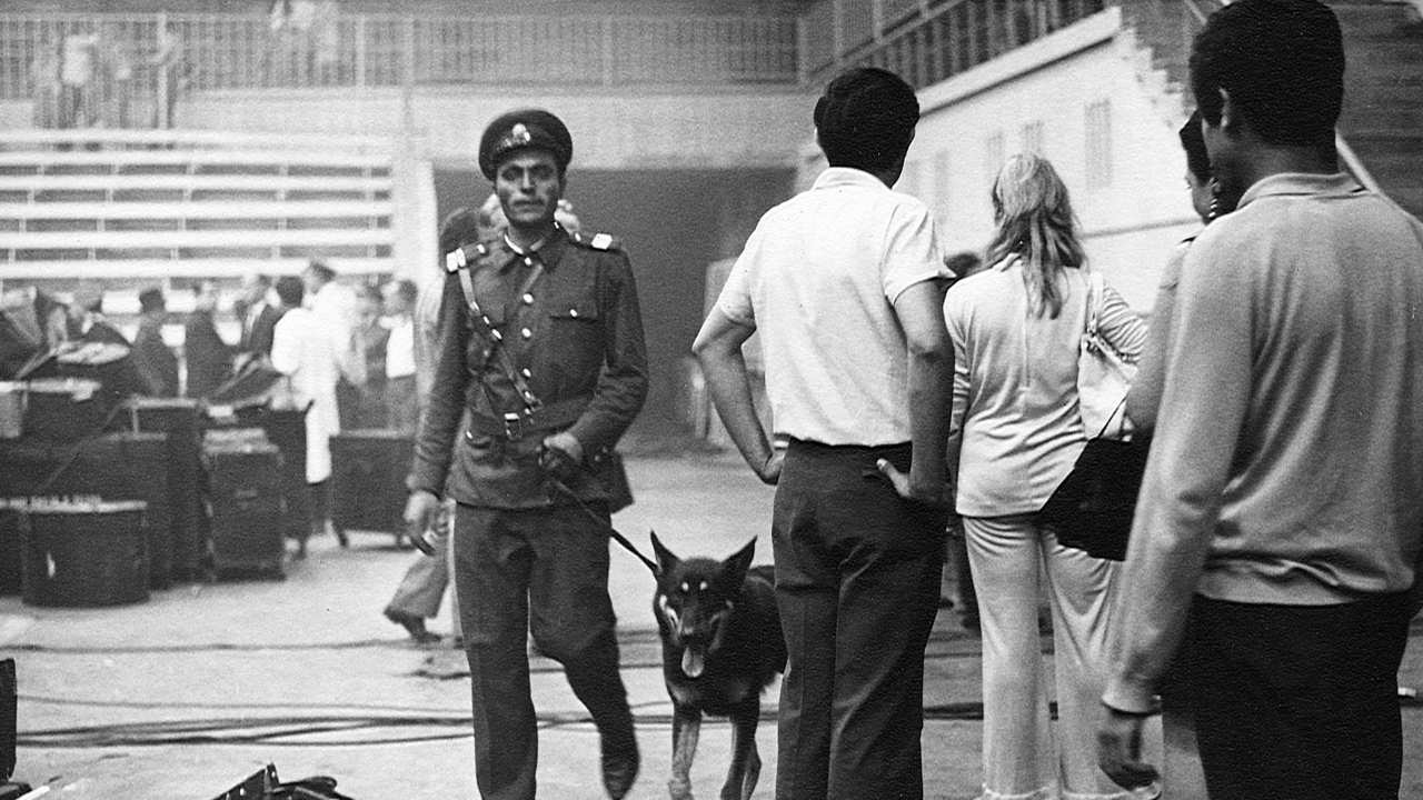 a person in uniform with a dog